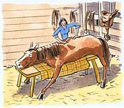 voorkom dat spieren vast komen te zitten sportmassage paardenmassage rinafroger sportpaardenmassage